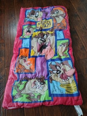 Vintage 90s Warner Brothers Totally Taz sleeping bag